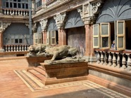 IMG_7092.jpeg