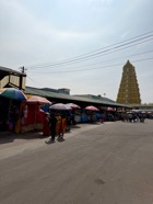 IMG_7137.jpeg