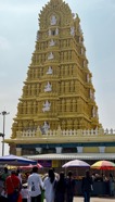 IMG_7142.jpeg