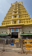 IMG_7148.jpeg