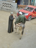 Nile - 020.jpeg