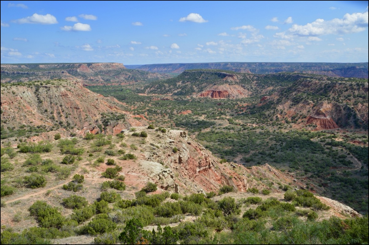Stacks Image 6168