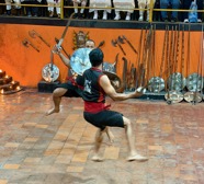 IMG_7547.jpeg