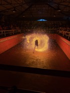 IMG_7597.jpeg