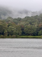 IMG_7612.jpeg