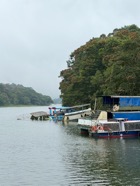 IMG_7613.jpeg