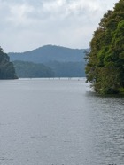 IMG_7615.jpeg
