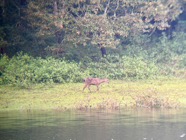 IMG_7620.jpeg