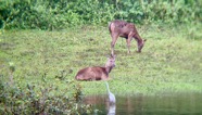 IMG_7629.jpeg