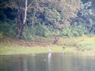 IMG_7626.jpeg