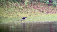 IMG_7632.jpeg