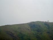 IMG_7636.jpeg