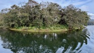 IMG_7643.jpeg