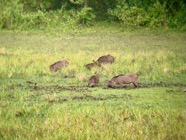 IMG_7651.jpeg