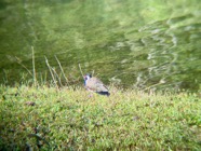 IMG_7656.jpeg