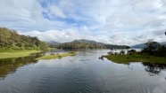 IMG_7667.jpeg