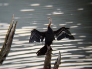 IMG_7673.jpeg