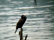 IMG_7674.jpeg