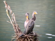 IMG_7676.jpeg