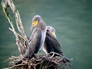 IMG_7677.jpeg