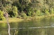 IMG_7687.jpeg