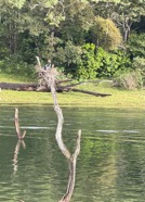 IMG_7688.jpeg