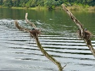 IMG_7705.jpeg