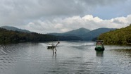 IMG_7700.jpeg