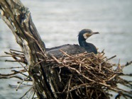 IMG_7708.jpeg