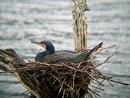 IMG_7712.jpeg