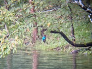 IMG_7719.jpeg