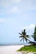 page7-1013-full.jpeg