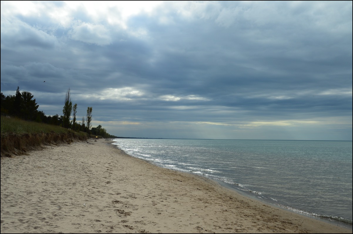 Stacks Image 6168