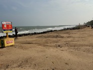 IMG_7900.jpeg