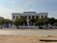IMG_7901.jpeg
