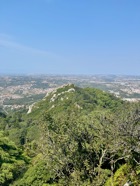 IMG_6853.jpeg