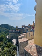 IMG_6856.jpeg