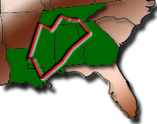 Points Image