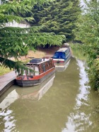 IMG_5337.jpeg