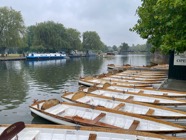 IMG_5339.jpeg