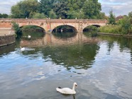 IMG_5361.jpeg