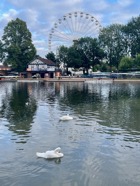 IMG_5364.jpeg