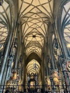 IMG_3839.jpeg