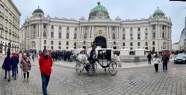 IMG_3849.jpeg