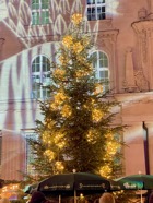 IMG_3900.jpeg