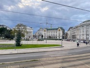 IMG_3941.jpeg
