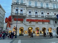 IMG_3950.jpeg