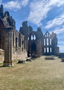 IMG_6719.jpeg