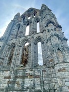 IMG_6729.jpeg