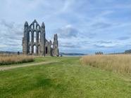 IMG_6731.jpeg